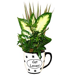 Tropical Plants 'Cat Lover' Ceramic Planter