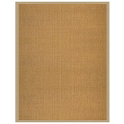 Bali Natural/ Tan Border Sisal Rug (5' x 8')