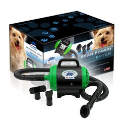 Bear Power Dryer