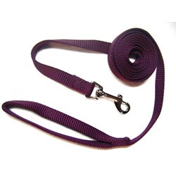 Hamilton Wine 1-inch 6-foot Single Nylon Leash