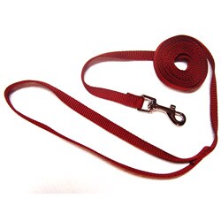 Hamilton Red 6-foot Single Nylon Leash