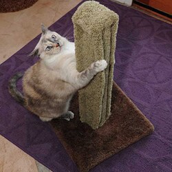 New Cat Condos Saguaro Scratching Post