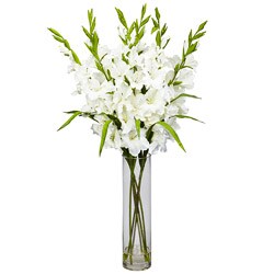 Cylinder Vase Large Gladiola Floral Arrangement 
