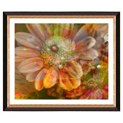 Zhee Singer Studios 'Glory Daisy Flower' Giclee Frame Matted Print Art