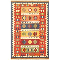 Hand-woven Shirvan Kilim Multi Wool Rug (4' x 6')