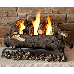 Real Flame Convert-To-Gel Log Set