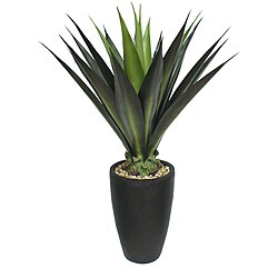 Laura Ashley 44 Inch Realistic Silk Giant Aloe Plant with Contemporary Planter