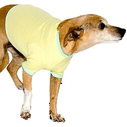 American Apparel Lemon/Lime Baby Rib Dog Tee 