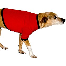  American Apparel Red/Black Baby Rib Dog Tee