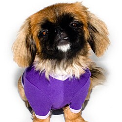 American Apparel Purple/LavenderBaby Rib Dog Tee