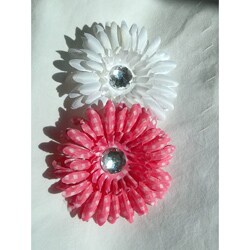 Just Girls Flower Hair Clips (Set of 2)