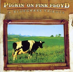 Pickin` On - Pickin` On Pink Floyd: A Bluegrass Tribute
