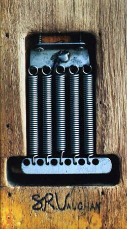 Stevie Ray Vaughan - SRV [Box]
