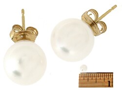 14k Akoya Cultured Pearl Earrings (5.5-6 mm ) (Case of 5)