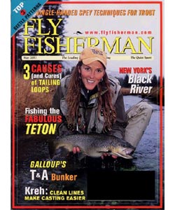 Fly Fisherman