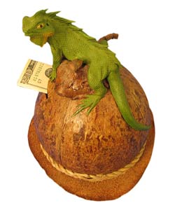 Coconut Piggy Bank with Iguana
