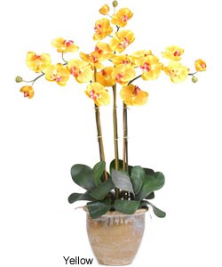 Triple-stem Phalaenopsis Silk Orchid Plant