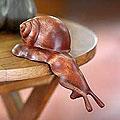Suar Wood 'Peek a Boo Snail' Sculpture (Indonesia)