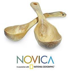 Set of 2 Granadillo Wood 'Coban Mist' Serving Spoons (Guatemala)