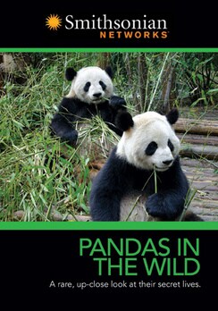 Pandas in the Wild (DVD)