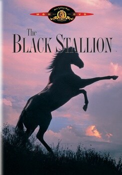 The Black Stallion (DVD)
