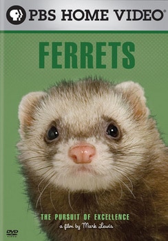 Ferrets - Pursuit Of Excellence (DVD)