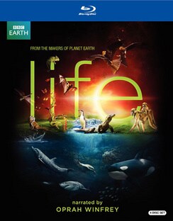 Life (Blu-ray Disc)