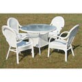 Steel/ Resin 5-piece Outdoor Dining Set