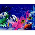 Vivid Splendor by Miller Stretched Canvas Art