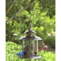 Nicholas Cole Aviana Birdfeeder