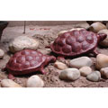 Pair of Turtle Statues