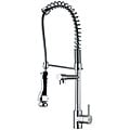 Swivel Spout Pre-rinse Kitchen Faucet