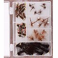 All Around Trout Selection 48 Flies