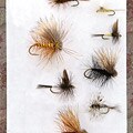 The Absolute Dry 72-piece Fly Selection