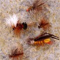 Dry and Nymph Flies Fly Fishing Set