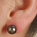 DaVonna Black Cultured Akoya Pearl Earrings