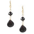 Charming Life Black Crystal Accented Onyx Briolette Earring