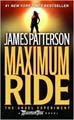 The Angel Experiment (Paperback)