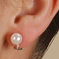 14k White Gold Cultured Akoya Pearl Earrrings
