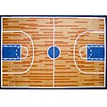 Basketball Court Rug (3'3 x 4'11)