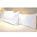 Allergy Free Standard-size Pillow Protector (Set of 2)
