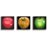 Nelly Arenas 'Red, Yellow, & Green Apple' Canvas Set