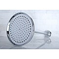 Chrome Showerhead and Arm