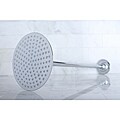 Chrome Showerhead and Arm