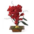 Amayrllis with Bamboo Tray