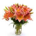 Bouquet of Pink Lilies
