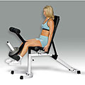 Multi Purpose Weight Bench