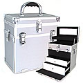 Seya Silver Two-in-one Cosmetic Case with Drawers