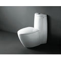 Royal Fortuna Dual Flush Contemporary Toilet