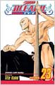 Bleach 23 (Paperback)